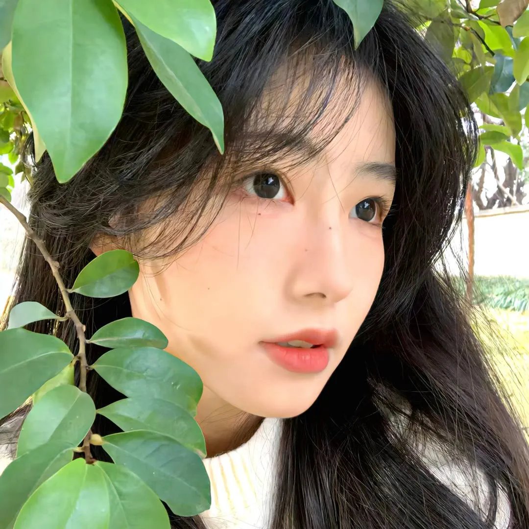 绝对杀手