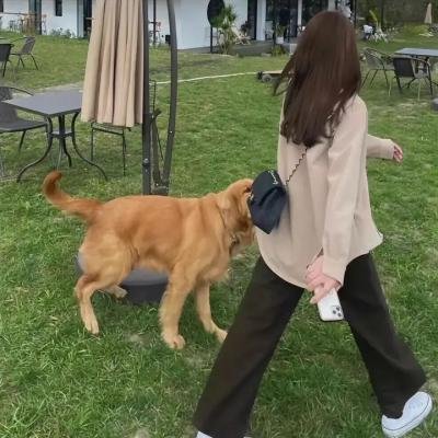 大侠胡金铨